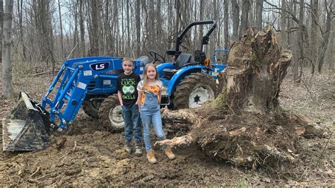 removing stumps with a compact track loader|How to remove tree stumps with a compact tractor .